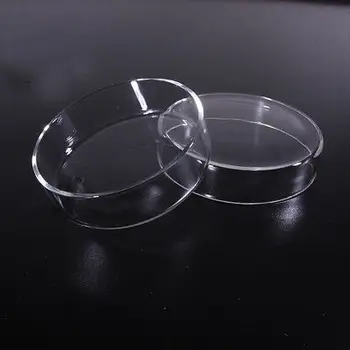 чашка Петри из боросиликатного стекла диаметром 100 мм для культивирования бактерий дрожжей в химической лаборатории