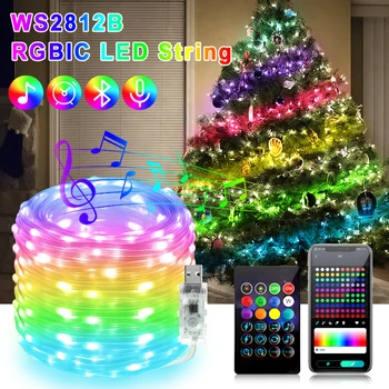 Dreamcolor WS2812B Светодиодные Струнные Сказочные Огни RGBIC USB 5V Dimmable Christmas Light APP Пульт Дистанционного Управления Для Украшения Свадебной Вечеринки